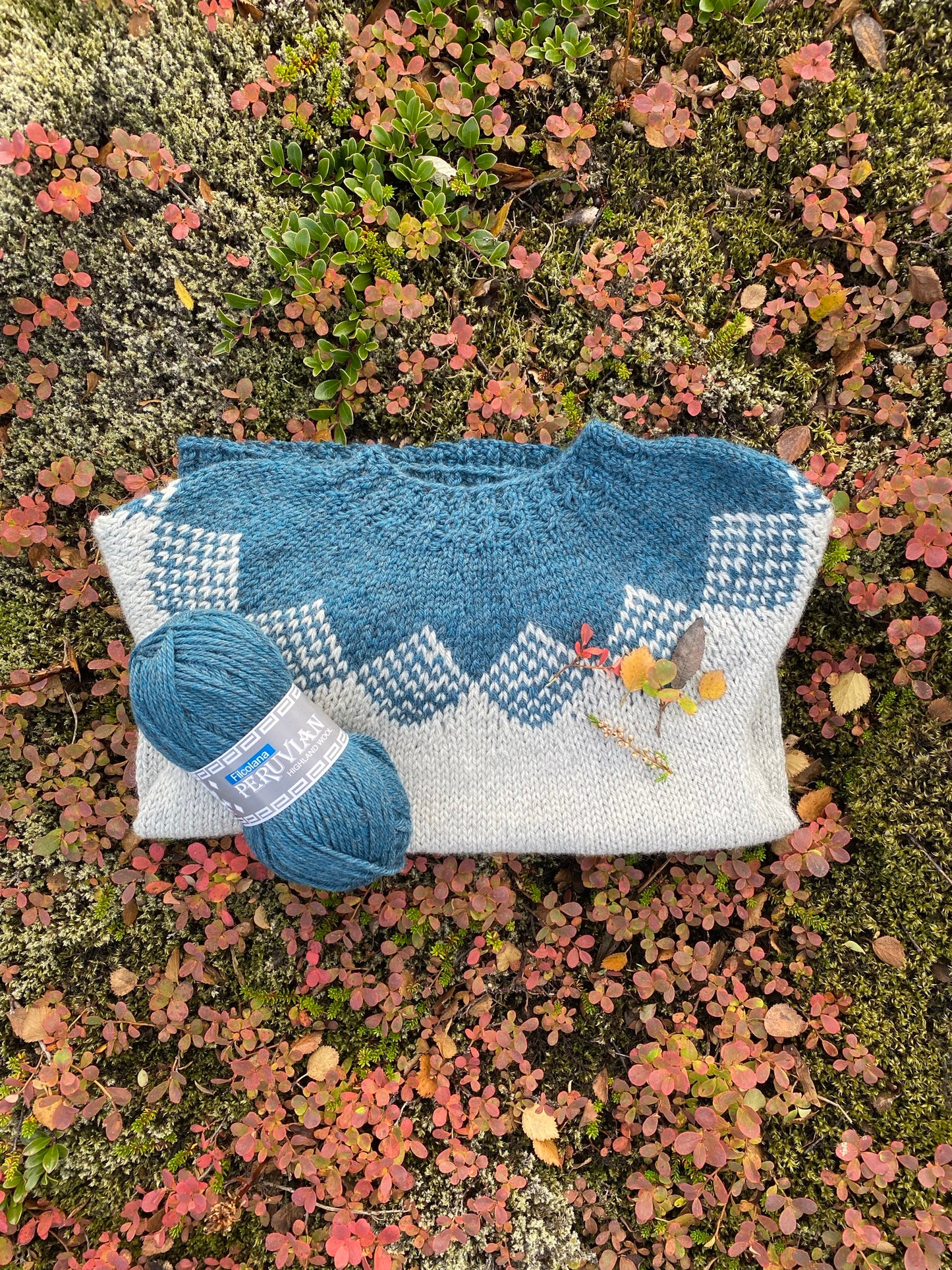 Viðja - children's sweater, pattern